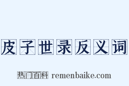 皮子世录反义词是什么意思的图片